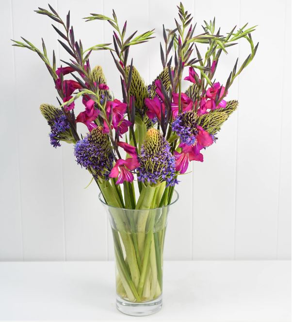 For a short time we are sending beautiful mixed boxes of Scilly grown gladioli and scilla. Order yours today...
scillyflowers.co.uk/flowers-by-pos…

#gladioli #peruvianscilla #islesofscillyflowers #postalgifts