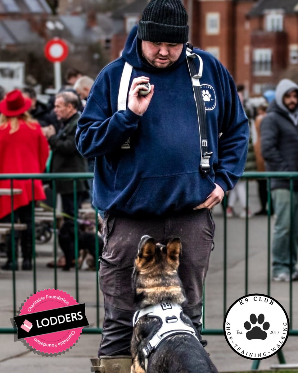 There are only 11 days to go until our Family Fun Day and Dog Show.

The day starts at 10am and K9 Club will be doing an obedience demonstration from 10.30am. Our dog show starts at midday and we will have children's activities throughout the day.

lodders.co.uk/family-fun-day…