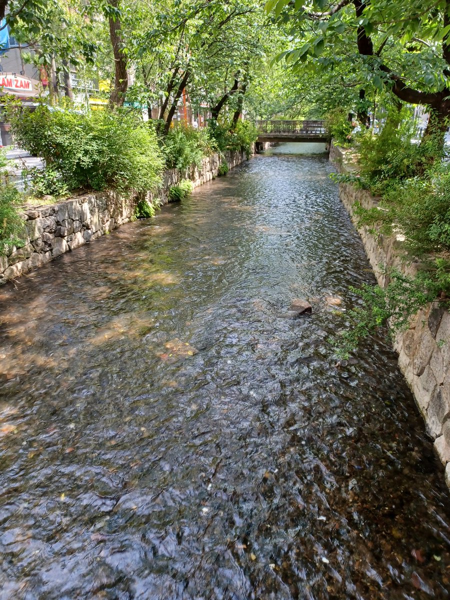 Dr Carol Quarini tweet media