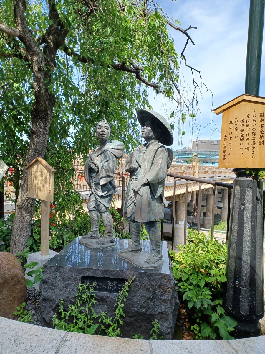 Dr Carol Quarini tweet media