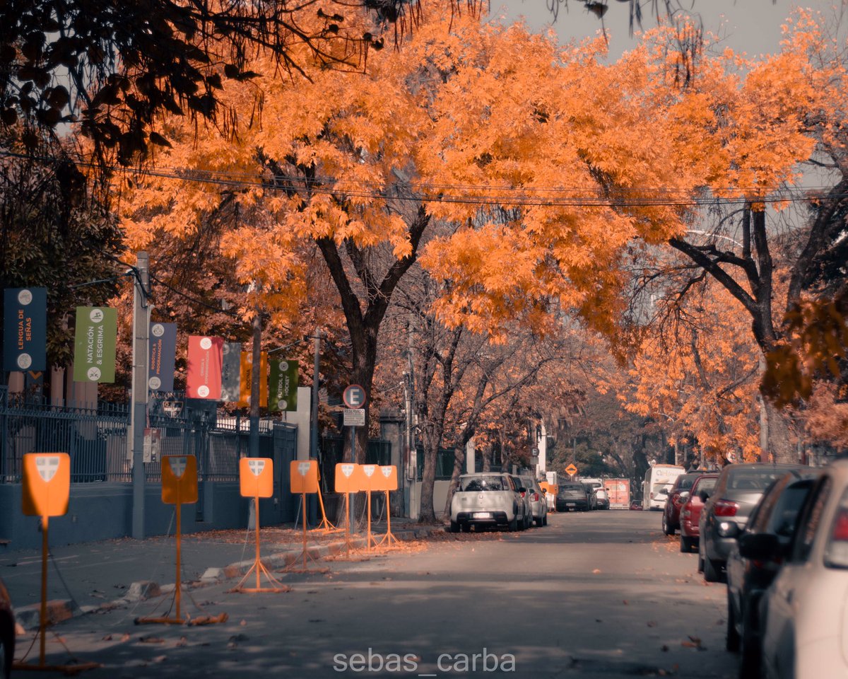 El otoño cada día más lindo por las calles de Montevideo Uruguay 🇺🇾