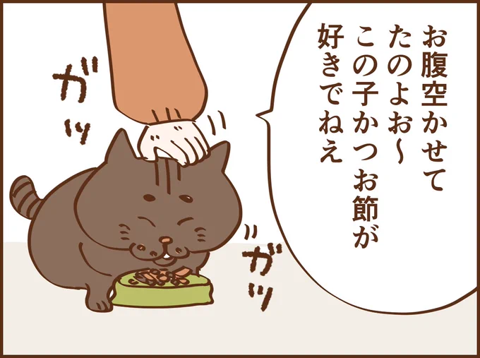 ■野良猫に餌をやるおばあさんの話3 続きは明日20時にアップします🙆‍♀️ #漫画が読めるハッシュタグ