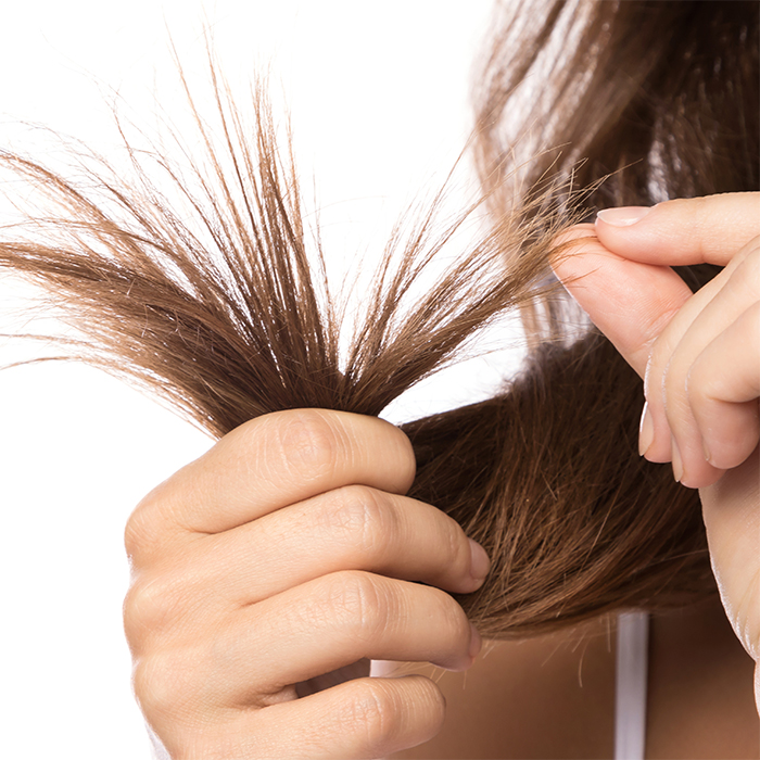 Micro breakage - how can your clients tackle it? <a href="/hji/">Hairdressers Journal International</a> shares all the details so you can advise clients as best you can. Repair your knowledge at: ow.ly/X8z950OfV7E

#MicroBreakage #HairCare #HairAdvice #HairAndBeauty