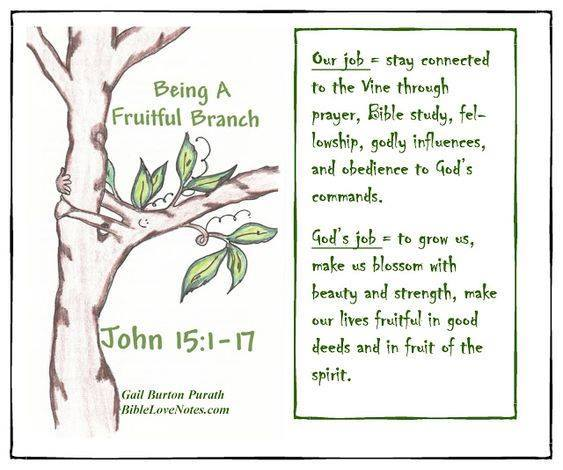 dgretz27's tweet image. Which vine are you clinging to?  Is it life-giving? Or does it cause you to wither?  Maybe today is a good day to find the strength to let the Lord prune you, your habits, your friendships (Jn 15:1-8).
#morningmusings #vineandbranches
