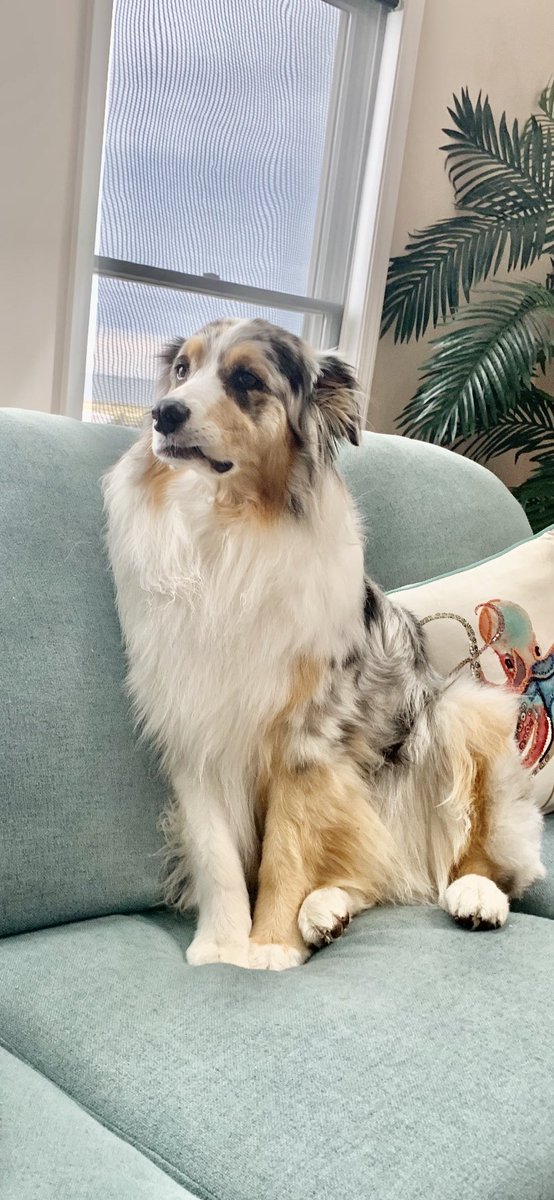 Is it Friday Yet? 

#HappyHumpDay