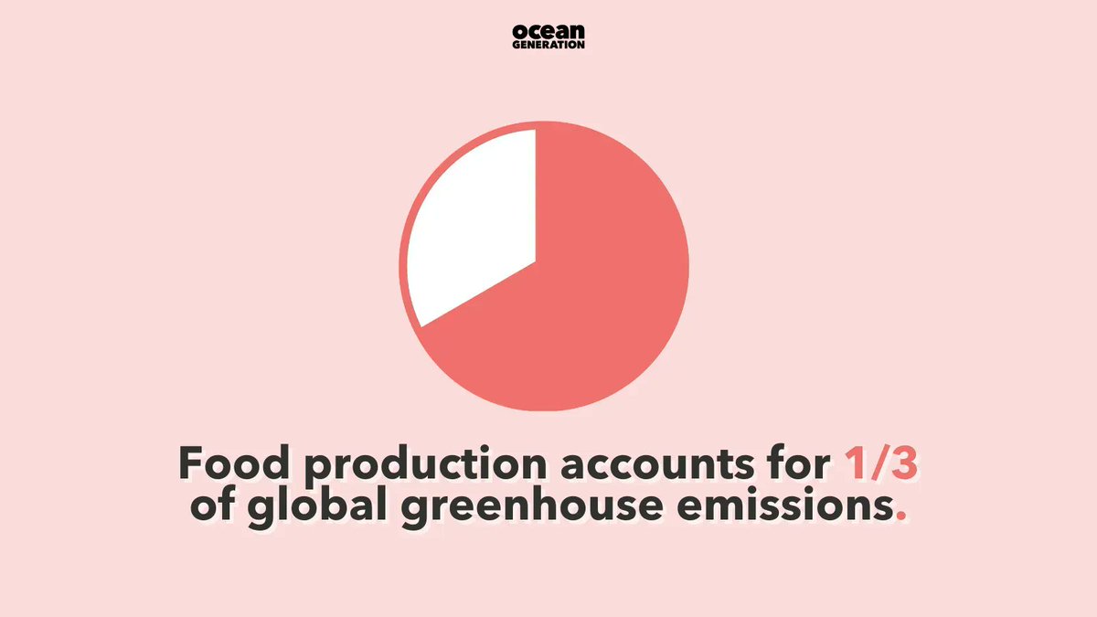 Join the #OceanGeneration and make sustainable food choices to protect our Ocean and the planet. By reducing our carbon foodprint, we can help preserve the beauty and diversity of marine life for future generations. 🌊🌍🐟 #SustainableSeafood #EatGreen #OceanConservation