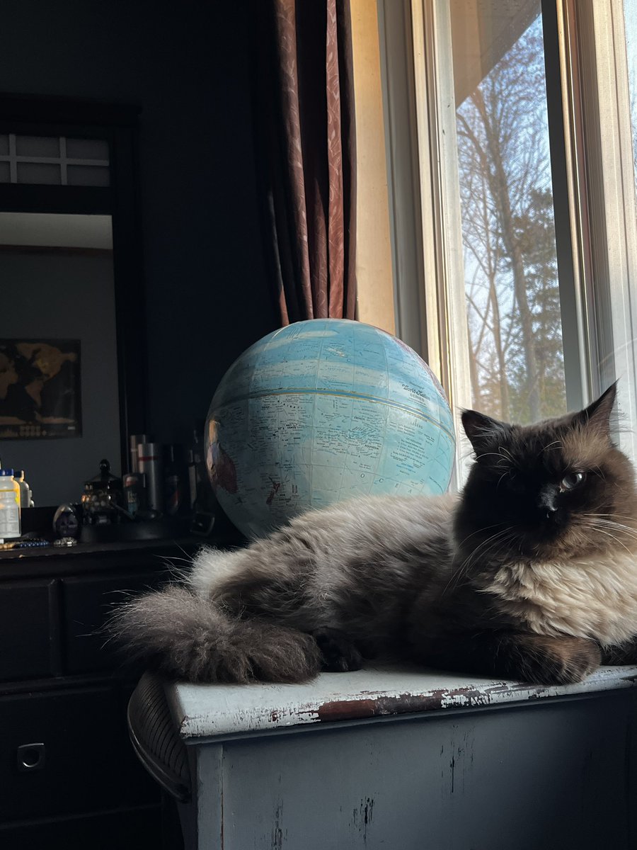 jefferymarston1's tweet photo. GM! fam 🌞

You know the drill 👇🏼

Remember YOU are the best part of every day period. 💯
#stopstinkingthinking #youare #bestpartoftheday #neverforgetit #havefun 

❤️

I feline going to take on the world 🐈🌏😝 #toker #ragdolllife #catsworld https://t.co/aDBX4ZIL3A