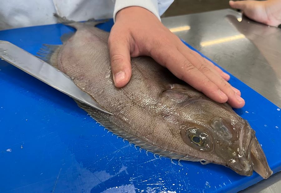 Seguim amb el #peix a 1r de grau mitjà d’#EPA: ahir va tocar #bacallà i #gall. Ja estàn nets i preparats per a fer-los servir ben aviat! @alimentaria_insguissona #formaciódual #ciclesformatius #fp #alimentàries