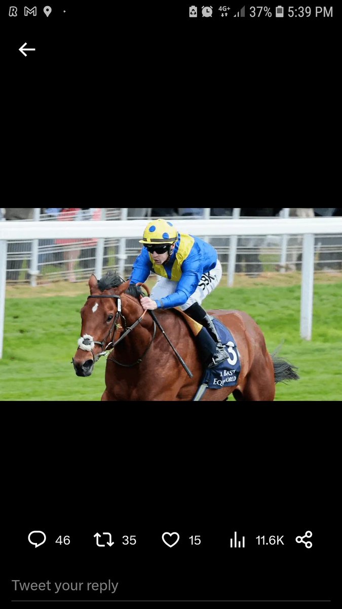 ShaneyONeill's tweet photo. @RacingTV @yorkracecourse https://t.co/sAxiRpjpn5