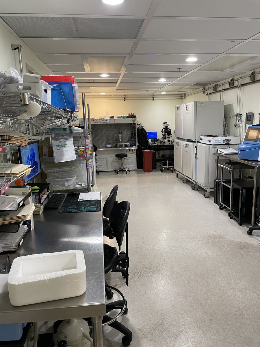 OvationFert's tweet photo. We love a good before and after! Check out these pictures and see how joining @OvationFert helped our Grand Rapids lab get an amazing upgrade.
#OvationFertility #ScienceFirst #Fertility #Infertility #GrandRapids #Embryology #Andrology #GeneticTesting #IVFLab https://t.co/D1z0Py1uoL