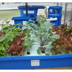 Photo by Nelson and Pade Aquaponics (@nelsonandpade)