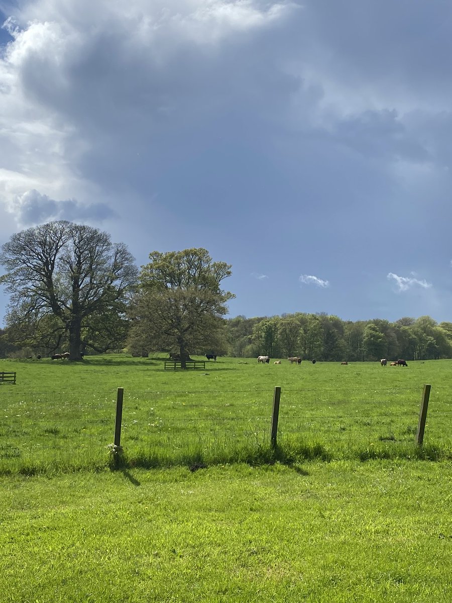 kmacostume's tweet photo. Had a day trip today to Fife to see tapestries in a private collection, cycling through fields in the sun (and rain!) was an extra lovely bit to the research trip ⛅️ https://t.co/744vDLTP49