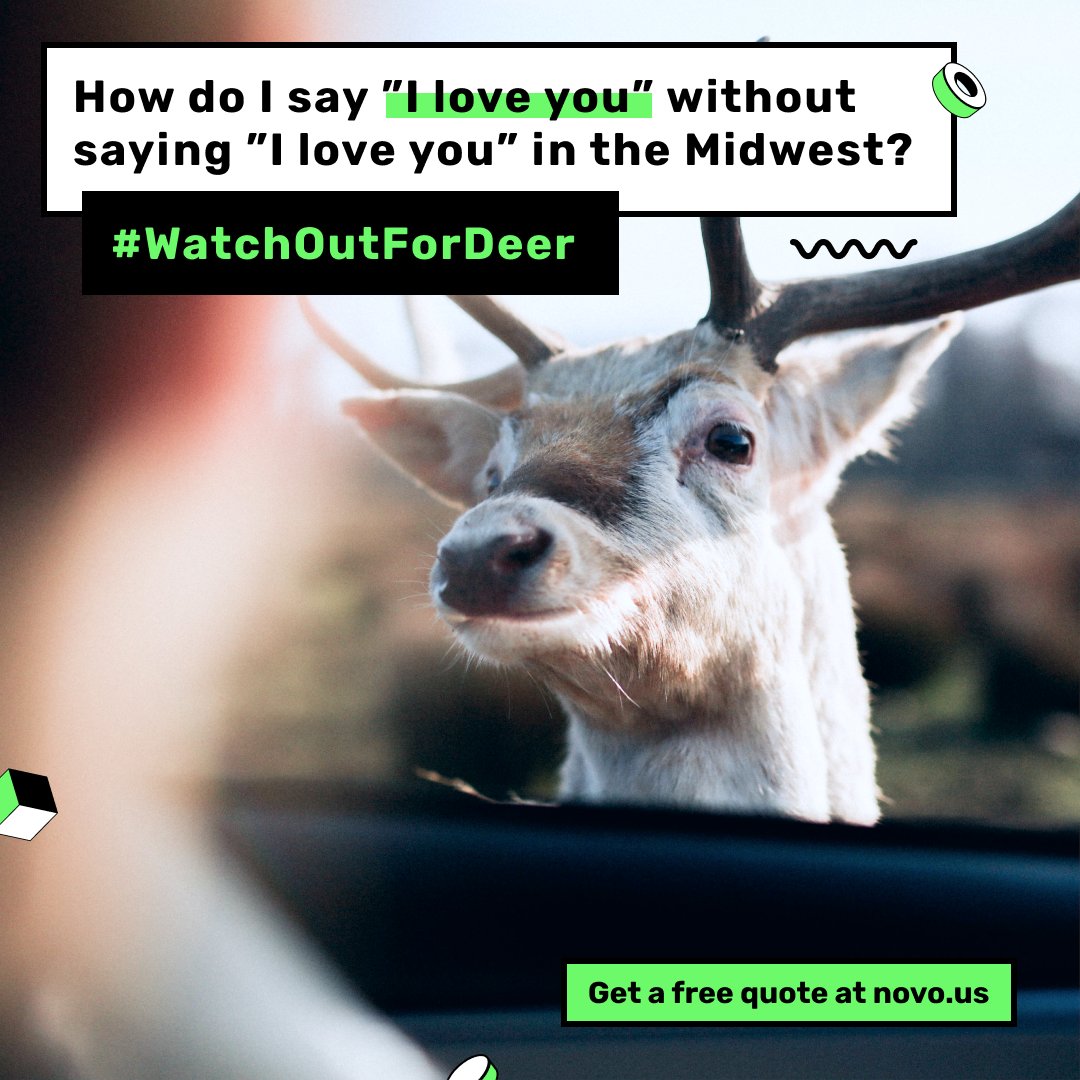 InsuranceNovo's tweet photo. π¦ Oh #deer! Watch out for Bambi!
May is a peak time for #DeerCollisions
Read our #SafetyTips on #DeerSeason β‘οΈ https://t.co/QQQfIXfyq8
#DriveSafely #RoadSafety #SafetyFirst #WatchOutForDeer #WatchTheRoad #ReadyWI #ReadyOH #WednesdayMotivation #Midwest #MKE #CLE #CBus #Cincy https://t.co/coDjxToVa7