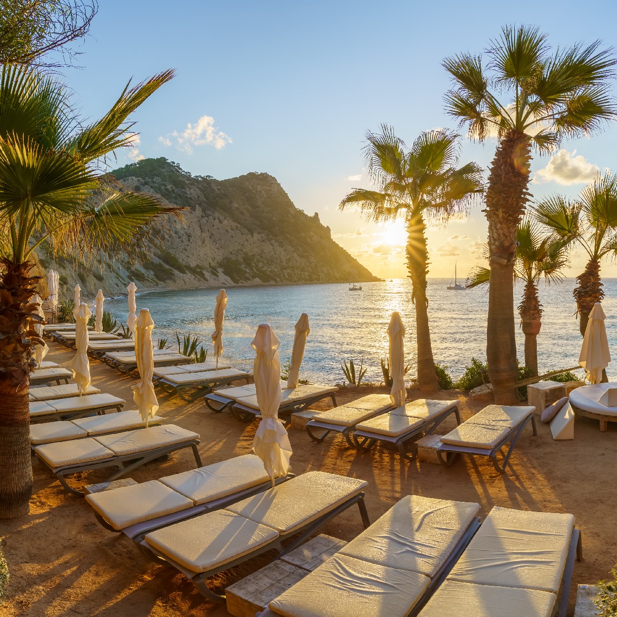 loveholidays tweet media