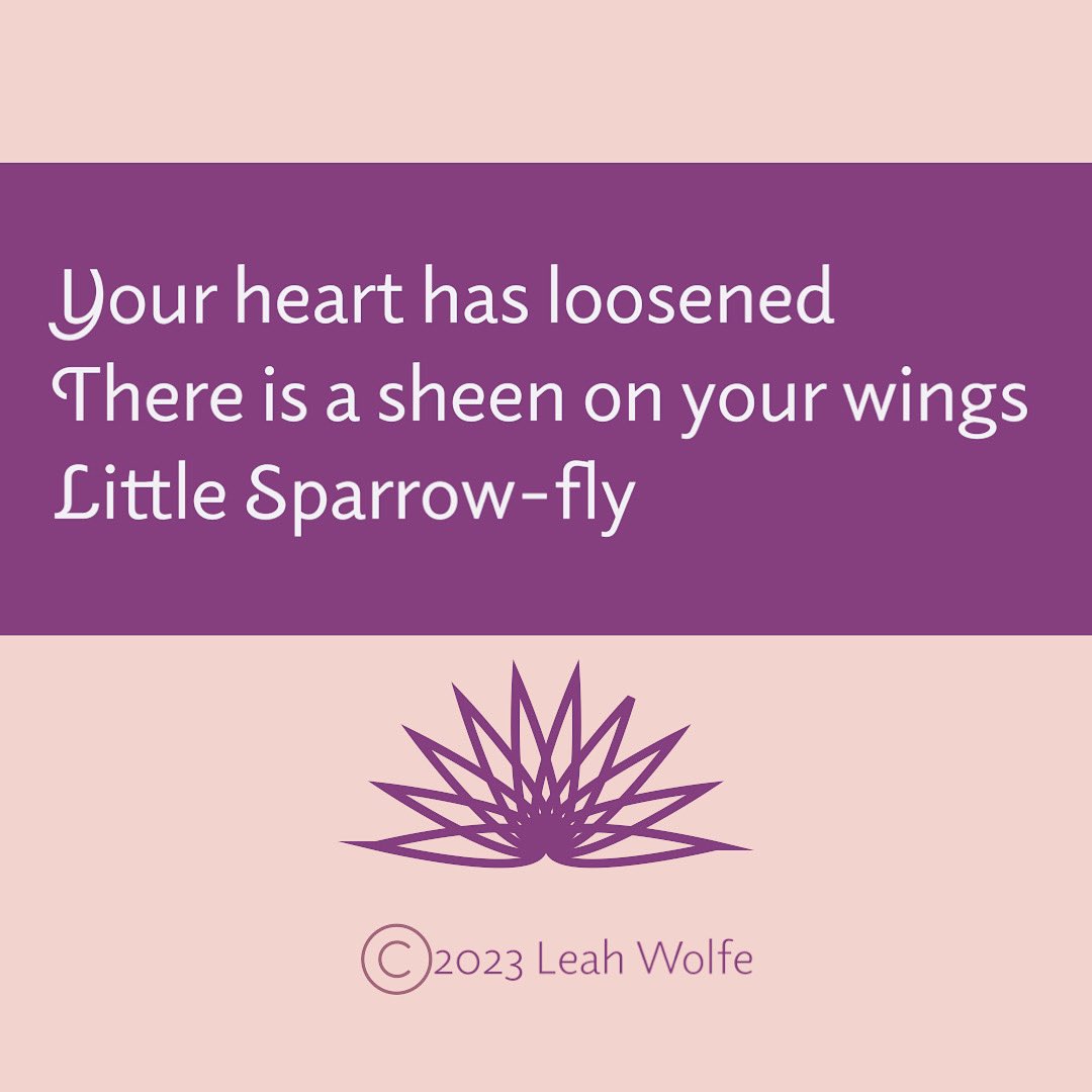 leahwolfewrites's tweet photo. A Haiku 🍃 #haiku https://t.co/NFQr3Ugizl