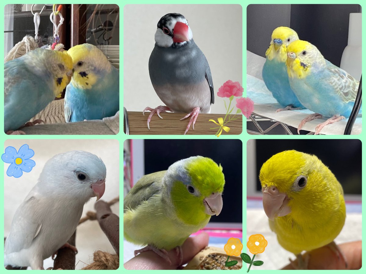 かほっち (@kahocci811) / Posts / X