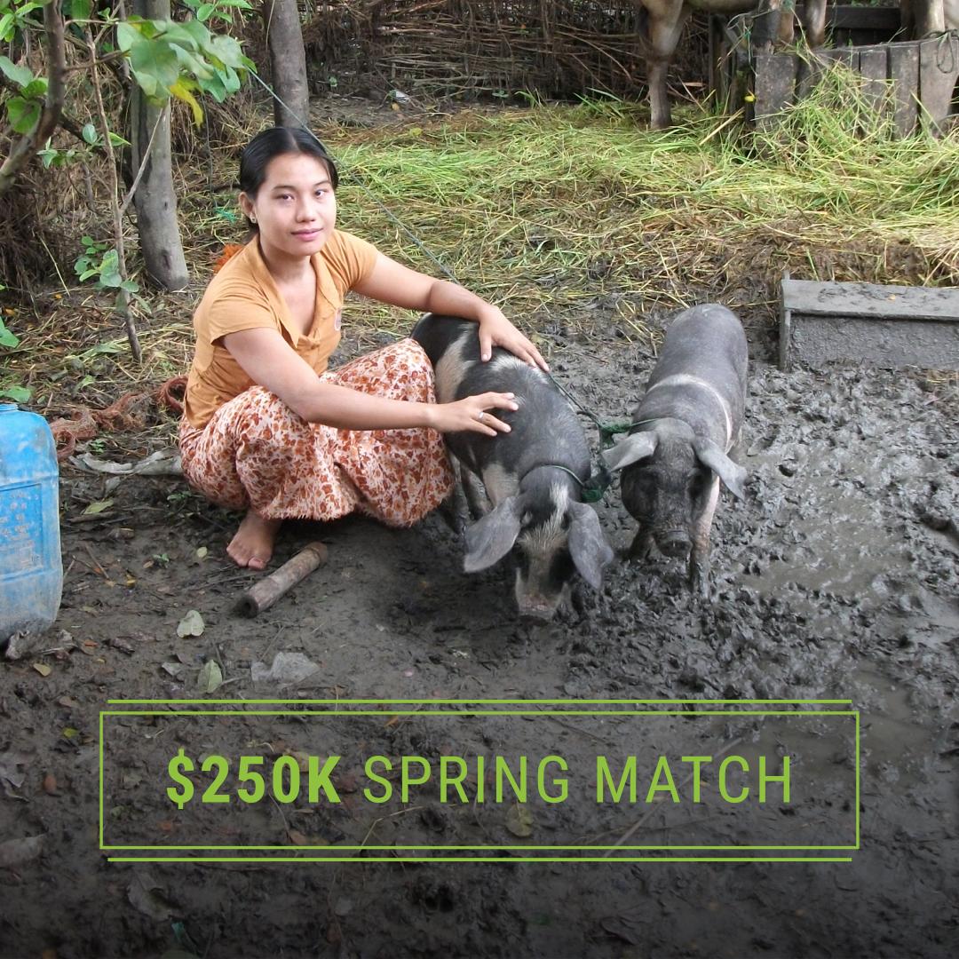 Belfry Bat tweet media