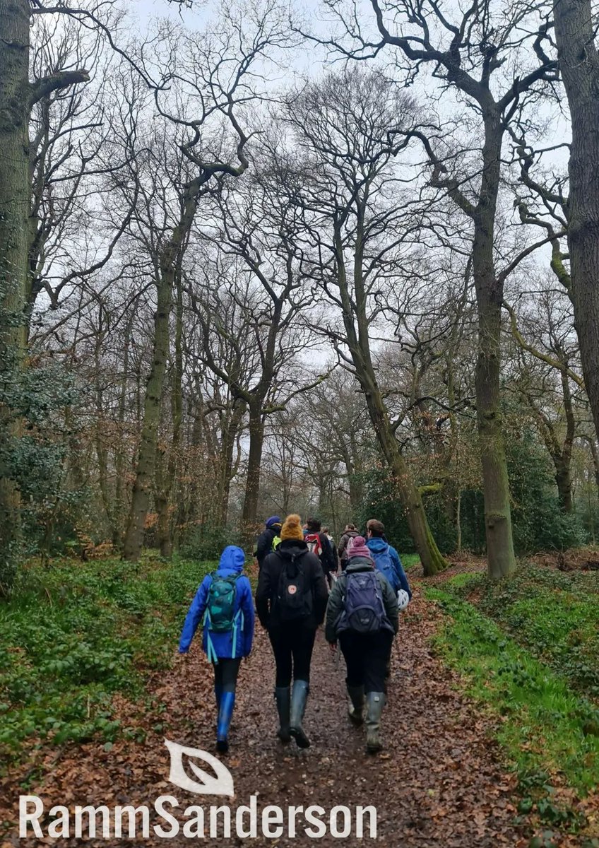 RammSanderson's tweet photo. RammSanderson have recently provided our team with an internal training programme delivered by Matt Cook of B.A.T ecological and Morgan Hughes. So far we have had the benefit of lectures about bat ecology and been lucky enough to find a bat roosting in a tree!

#Team #Ecology https://t.co/Ep43IxdDaO