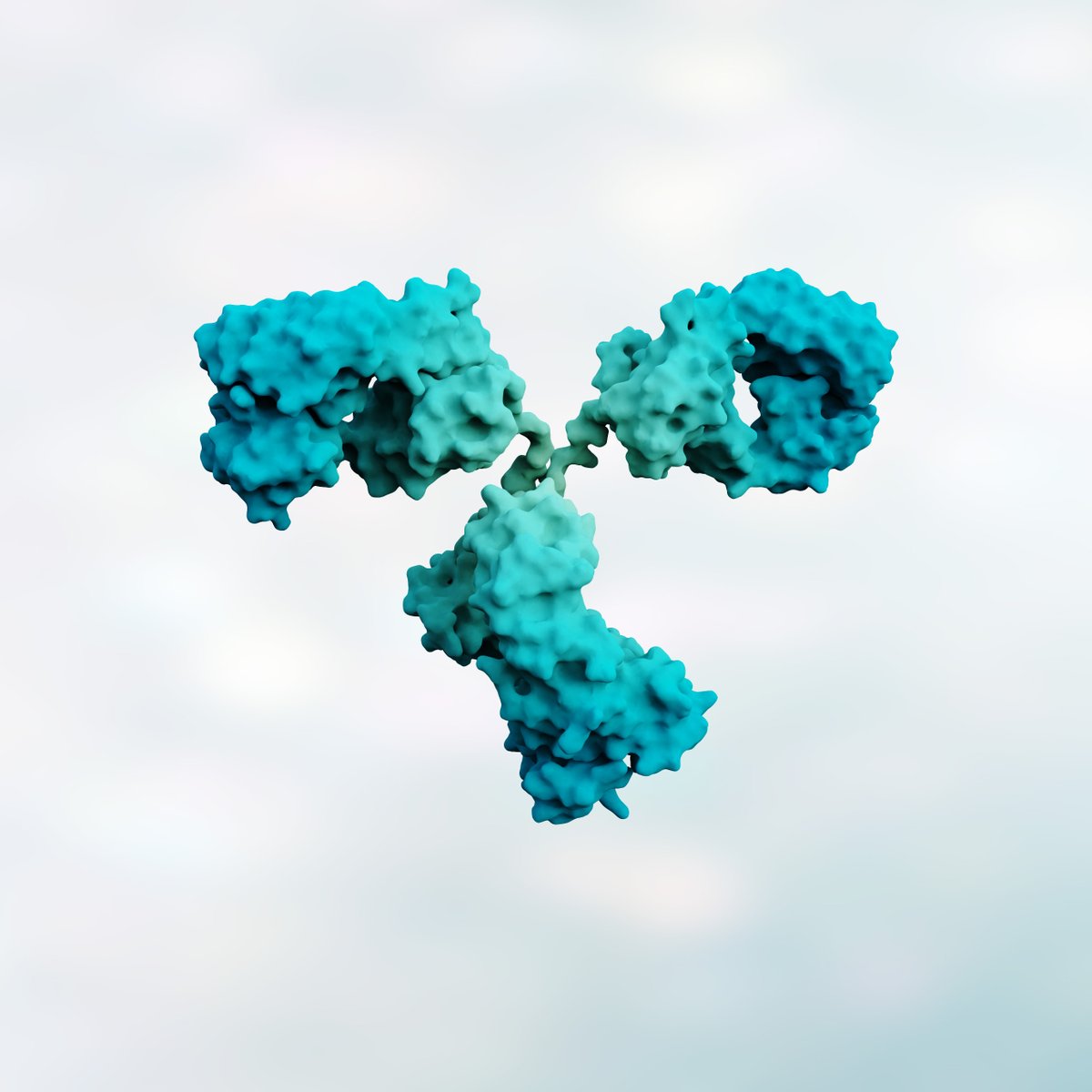 #Didyouknow #Autoantibodies can be found in clinically &amp; immunologically opposing diseases, such as #autoimmune diseases &amp; #cancer. Often referred to as anti-tumor #antibodies, or tumor-associated antibodies, they are implicated heavily in cancer #immunity bit.ly/3GRjUc6