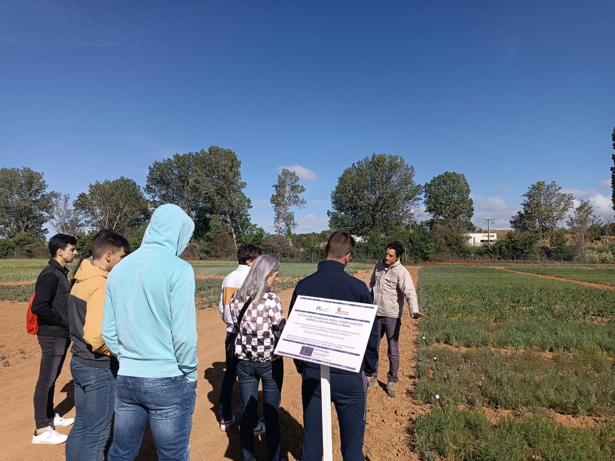 ITACYL's tweet image. Visita de los alumnos de la @UBUEstudiantes a los ensayos de la #FincaZamadueñas
🎑 Ensayos del proyecto #FORRAJES #FEADER de #ITACyL para la evaluación del rendimiento y calidad de leguminosas, cereales y cultivos mixtos. 
🔗 ow.ly/kUEf50OkgNh