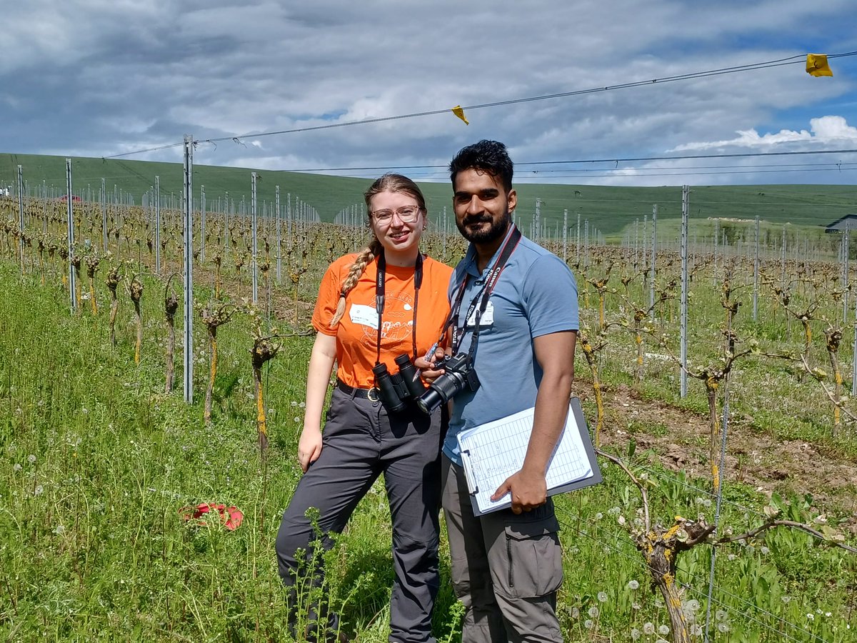 Aliceparfitt's tweet photo. Out with @SussexUni students today @RathfinnyEstate collecting data on the joint wildflower trials with @Buzz_dont_tweet  
All part of the #changingchalk partnership led by @TheSouthDownsNT, supported by @HeritageFundUK @PostcodeLottery @sewateruk https://t.co/kZLrZn8WR2