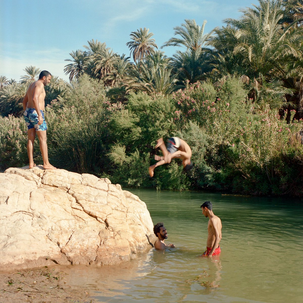 instagram's tweet photo. “Before It’s Gone” 💚 by Moroccan photographer @MhammedKilito, a @WorldPressPhoto winner  

https://t.co/LD0VNDd4VG https://t.co/ICatic8u2H