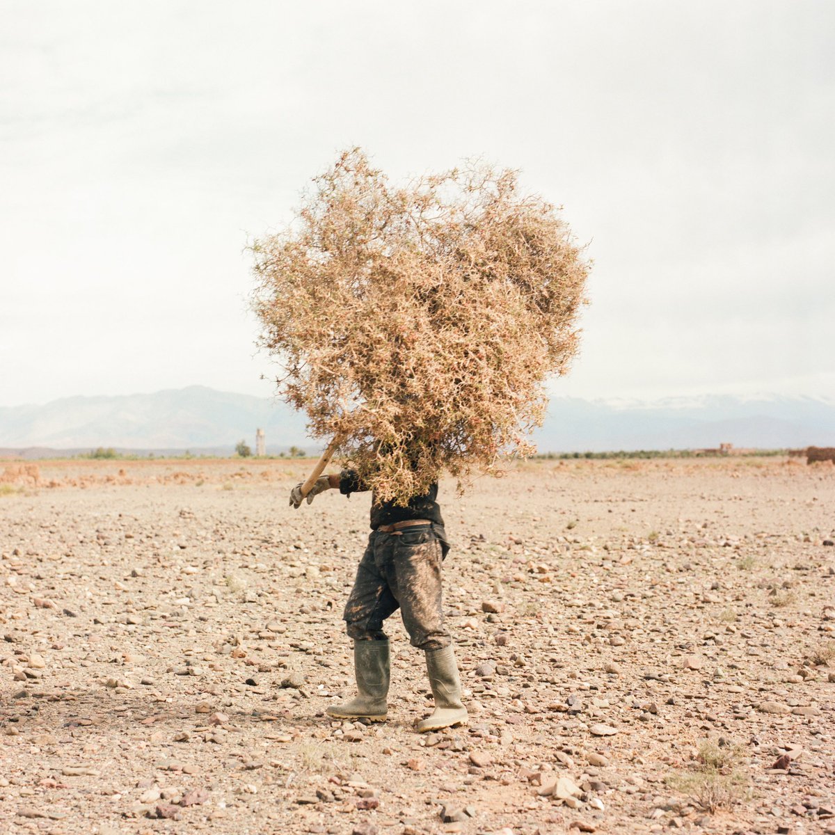 instagram's tweet photo. “Before It’s Gone” 💚 by Moroccan photographer @MhammedKilito, a @WorldPressPhoto winner  

https://t.co/LD0VNDd4VG https://t.co/ICatic8u2H