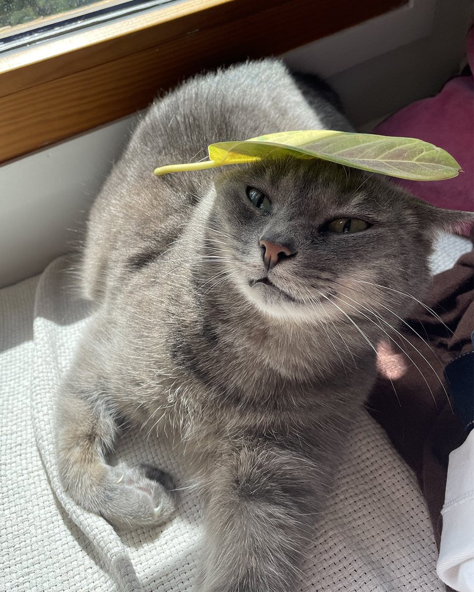 discord_fr's tweet image. Alors ce cosplay de Wumpus ? /20