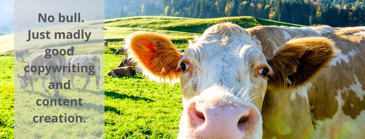CopycowUK's tweet photo. Finding the right words for marketing messages can be such a slog if you don't know how. Save yourself the time and effort - just trot over to https://t.co/3YfE4Rt7lG instead.
#copywritingservices #marketing #copywriting #b2bmarketing #contentcreation #business #content #creative https://t.co/5xKNWoIKfB