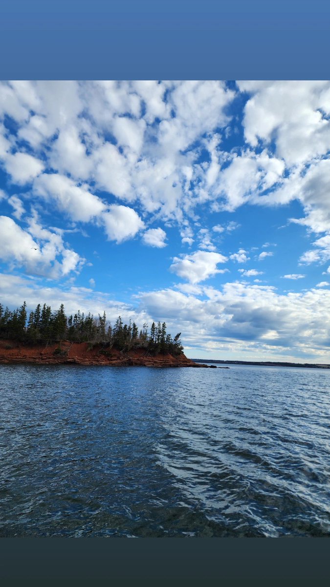 backbeachfarm's tweet photo. Bay Fortune, PEI https://t.co/U6RwcTjJhv