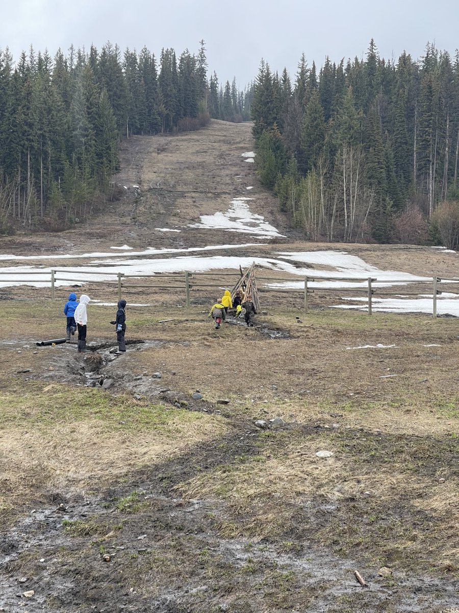 Curtis Wiebe tweet media