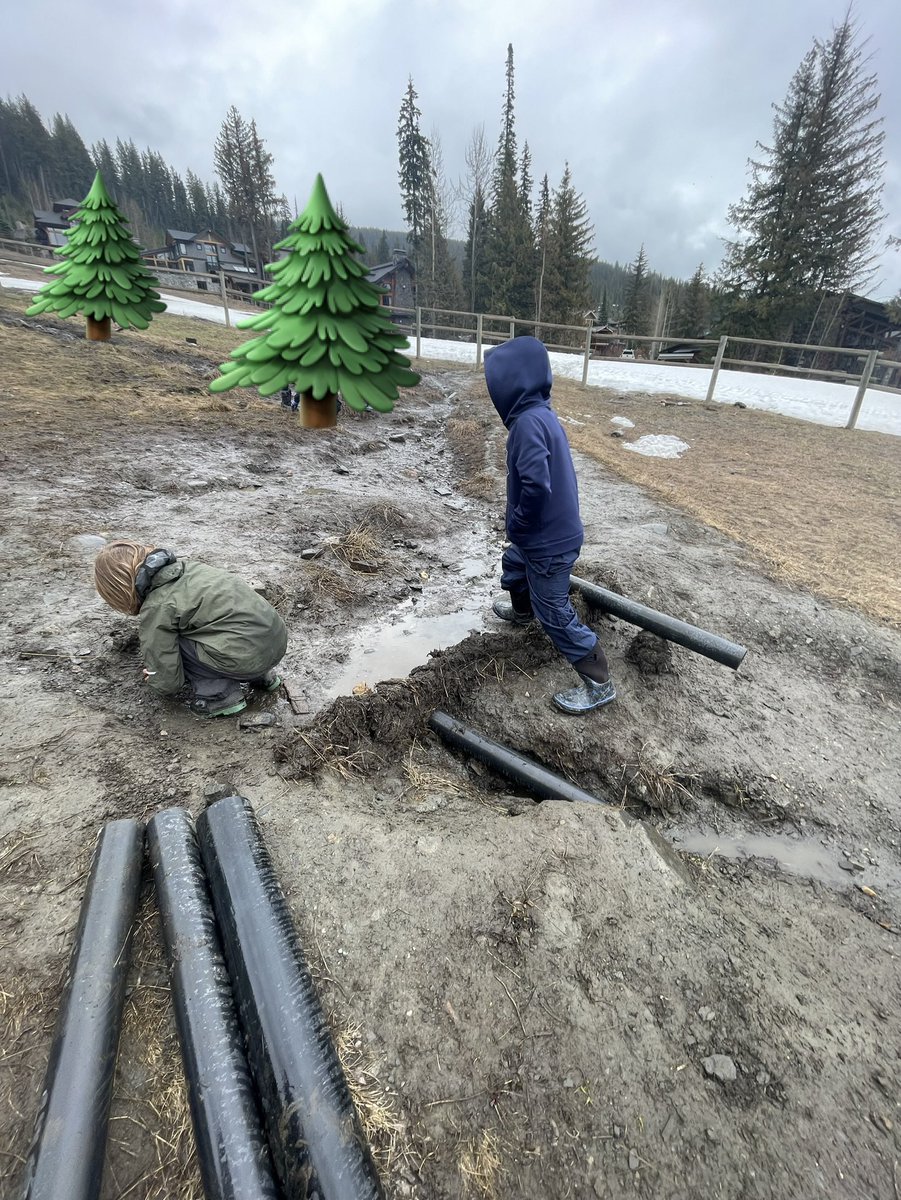 Curtis Wiebe tweet media