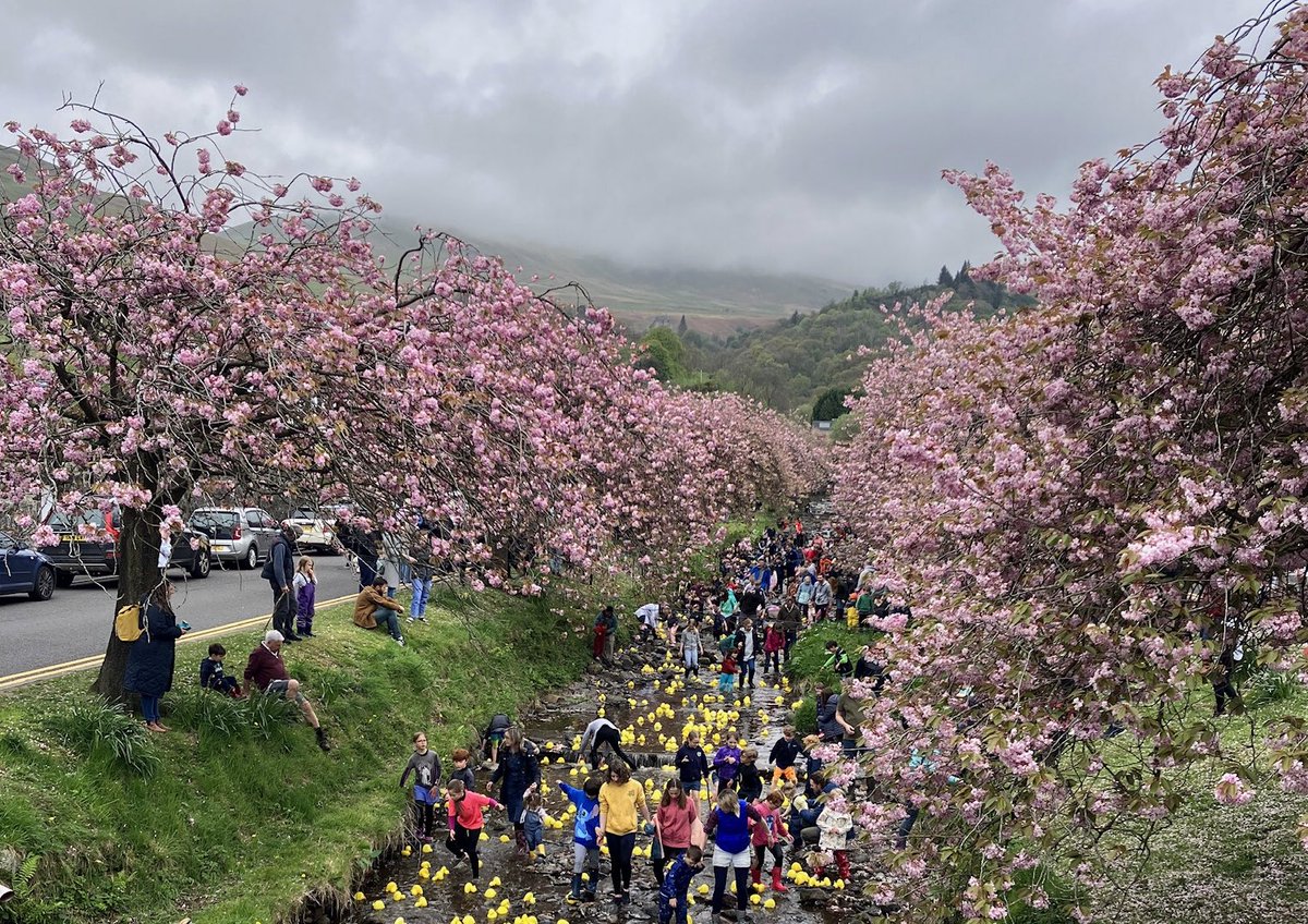 Lots of steps at the Dollar Duck Race at the weekend for <a href="/Stepupstirling/">Stepping UP! @StirUni <a href="/Stirling_Nurse/">Stirling_Nurse</a></a>  

Go! @Stirling_Nurse 
GO! MH teaching team &amp; students! 

Support us to raise funds - click the link gofund.me/d5d5bfe1

#MentalHealthAwareness 
#TraumaInformed