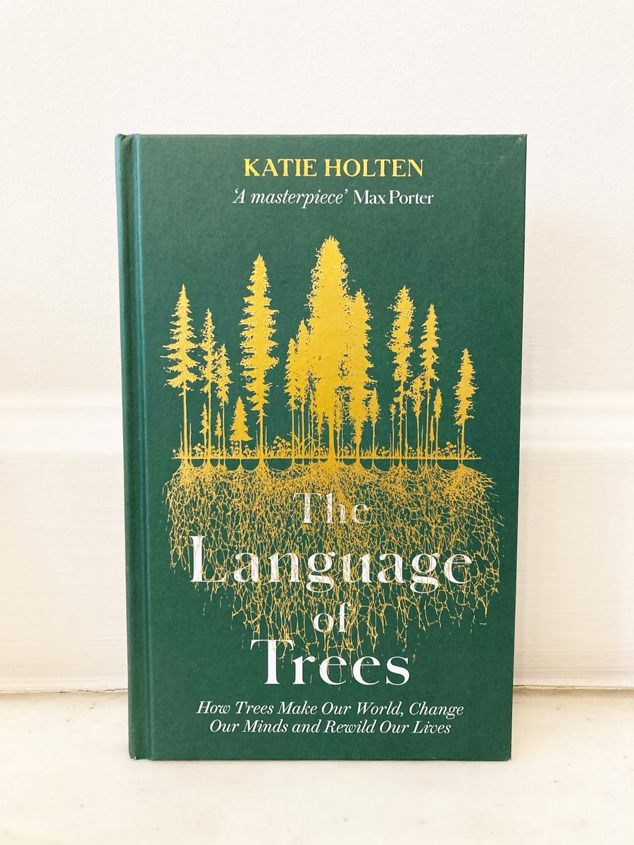 Katie Holten | Language of Trees🌳 | CRISIS 🇵🇸 tweet media