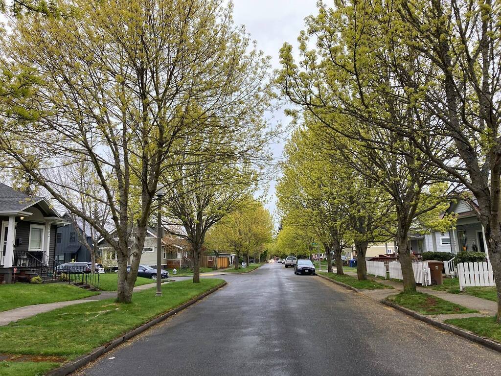 Is your community prepared for Emerald Ash Borer? Join us now for a @washdnr webinar about preparing and responding to EAB ift.tt/Npiay98 instagr.am/p/CsEYb7RxTJM/