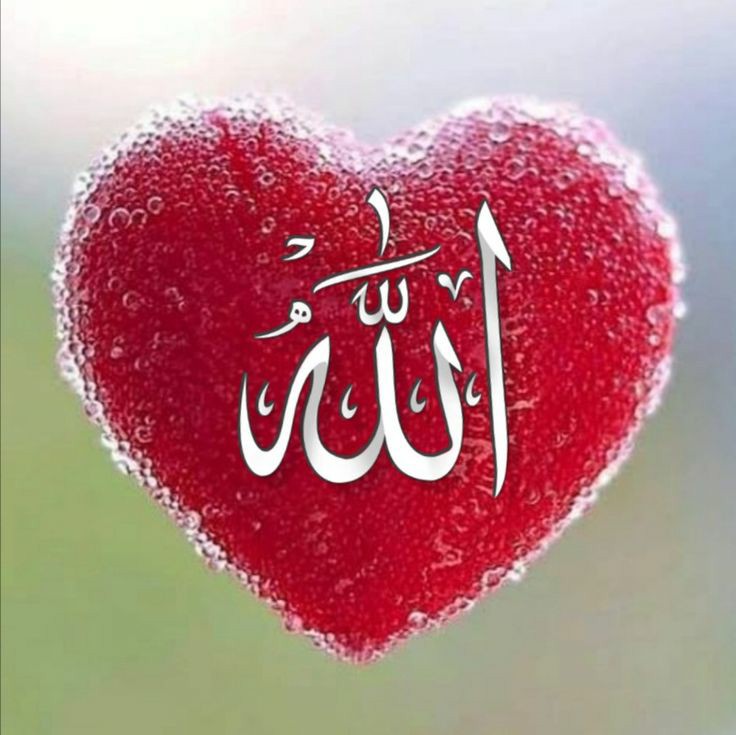 هـیـچ چـیـزے در زنـدگـی ارزش نـگـرانـی نـدارد ؛  وقـتـی الله ﷻ❤ سـاڪن قـلـبـت بـاشــد ...
🤍