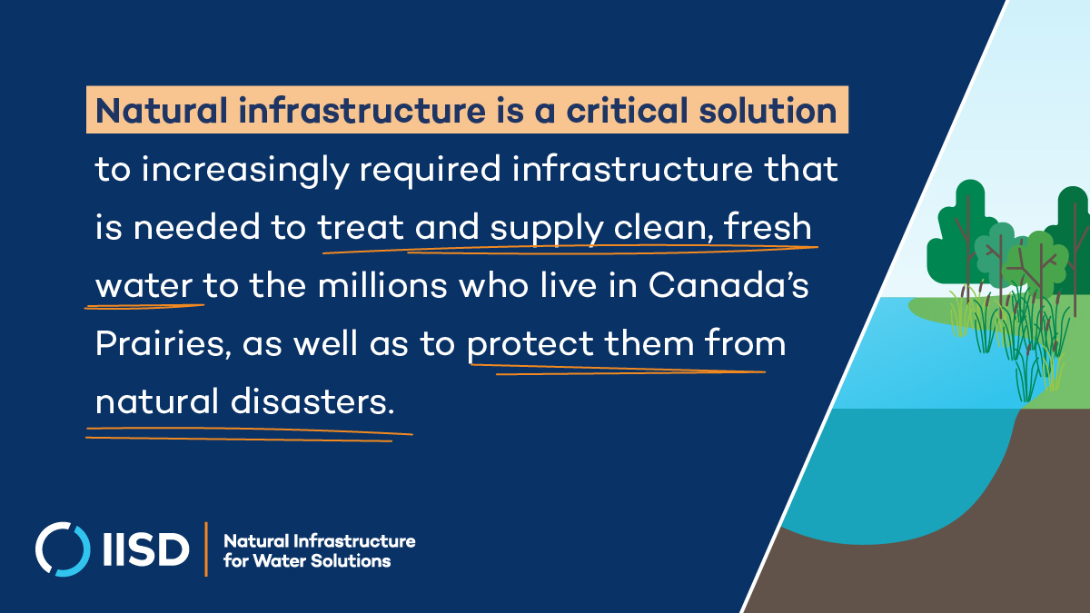 As they grapple w/ the impacts of #climatechange, 🇨🇦's Prairies face risks from:

🔥Fires
🌊Floods
🌡️Droughts

But they are also home to #ecosystems that can provide natural #infrastructure for solving the Prairies' water-related challenges.

Our🆕 report: bit.ly/3MpBB5D