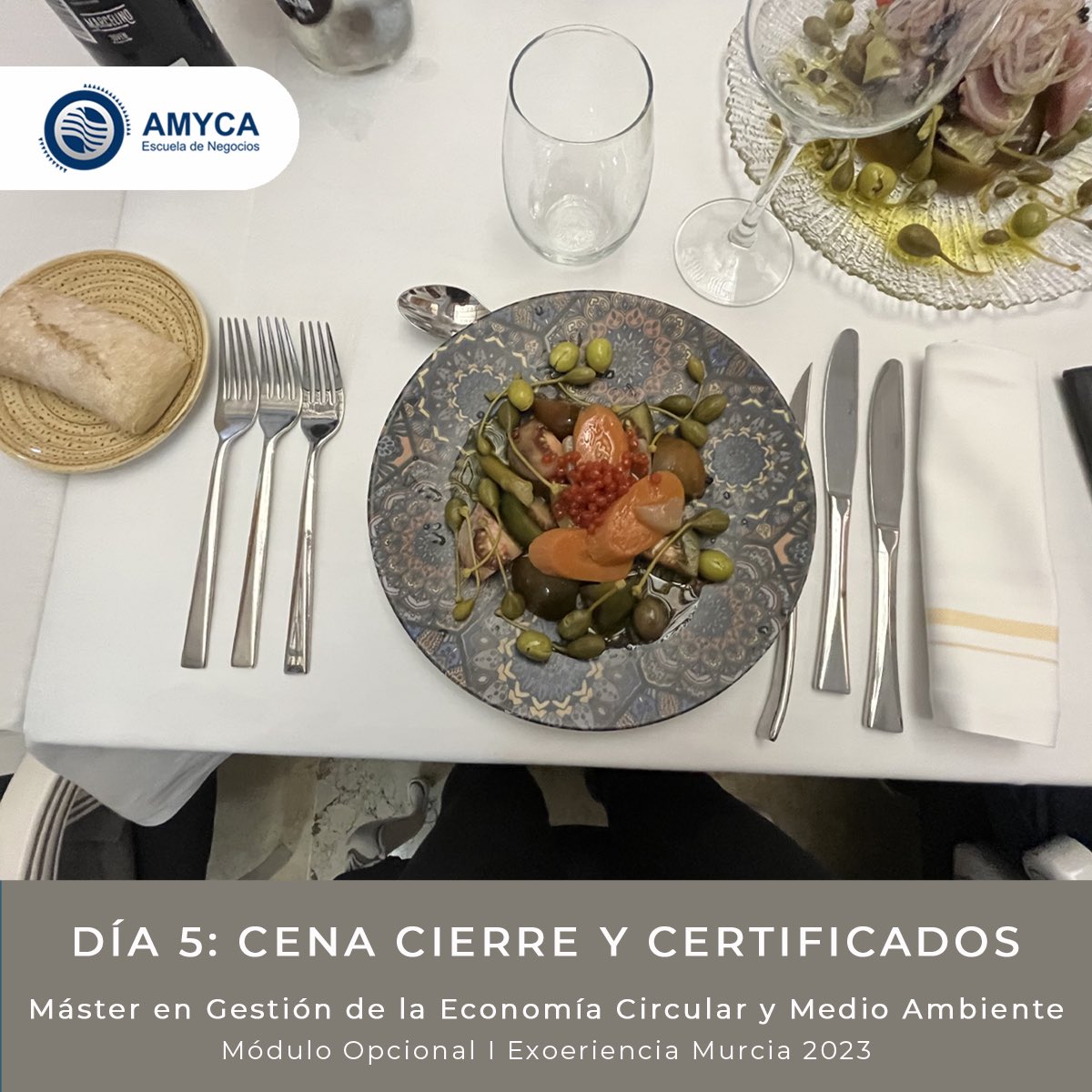 AMYCAEscuela's tweet photo. MÓDULO OPCIONAL | EXPERIENCIA MURCIA 2023   

Compartimos algunas imágenes de lo que fue la Cena de Cierre y Entrega de Certificados de realización.

Agradecemos especialmente al @HotelHabaneros por su hospitalidad y cálida atención.

#AMYCAEscuela https://t.co/xZKNEKtjcf