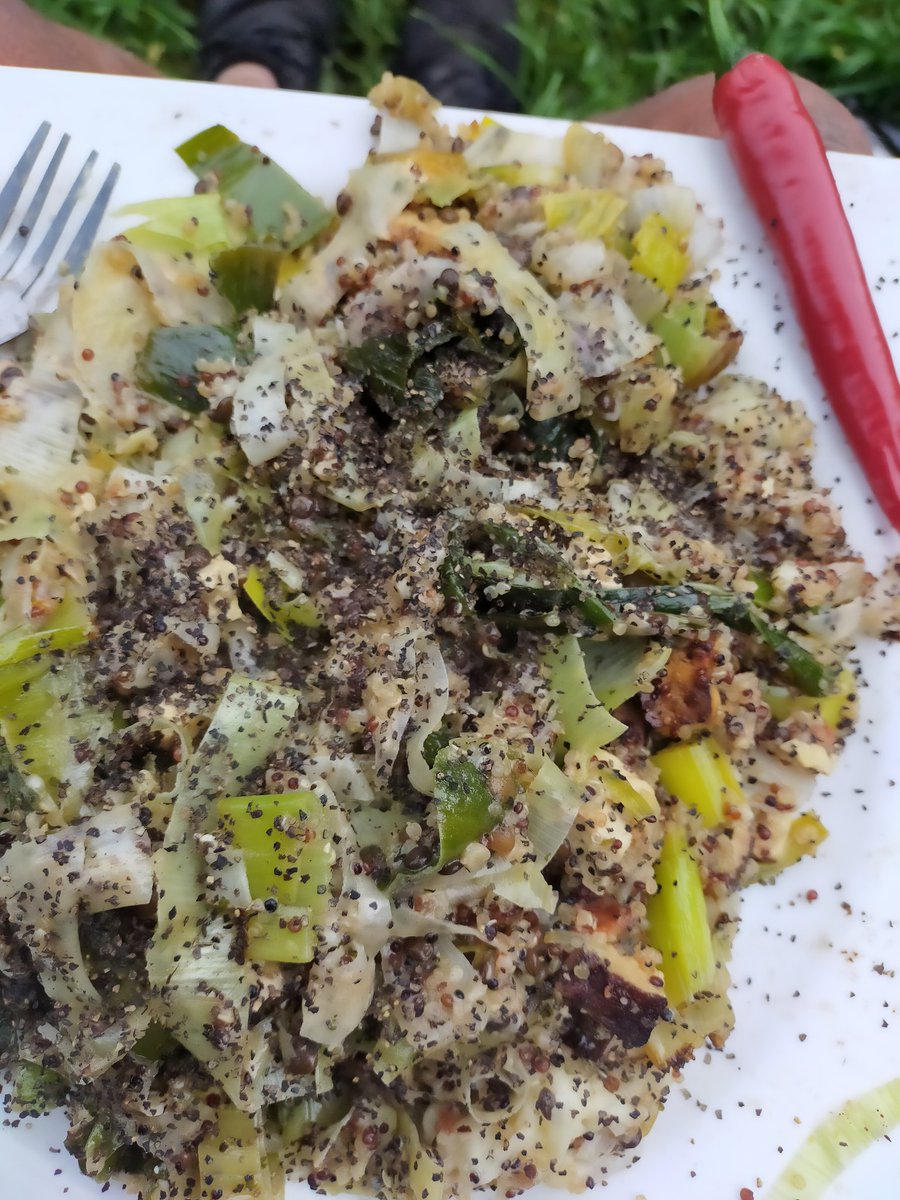 Kurierprinzess1's tweet photo. 200g #Quinoa mit 150g #Zwiebeln und 400g #Porree + 350h #Tofu =#GeilesEssen♥️🥳😘
#Vegan https://t.co/873yAS5avz