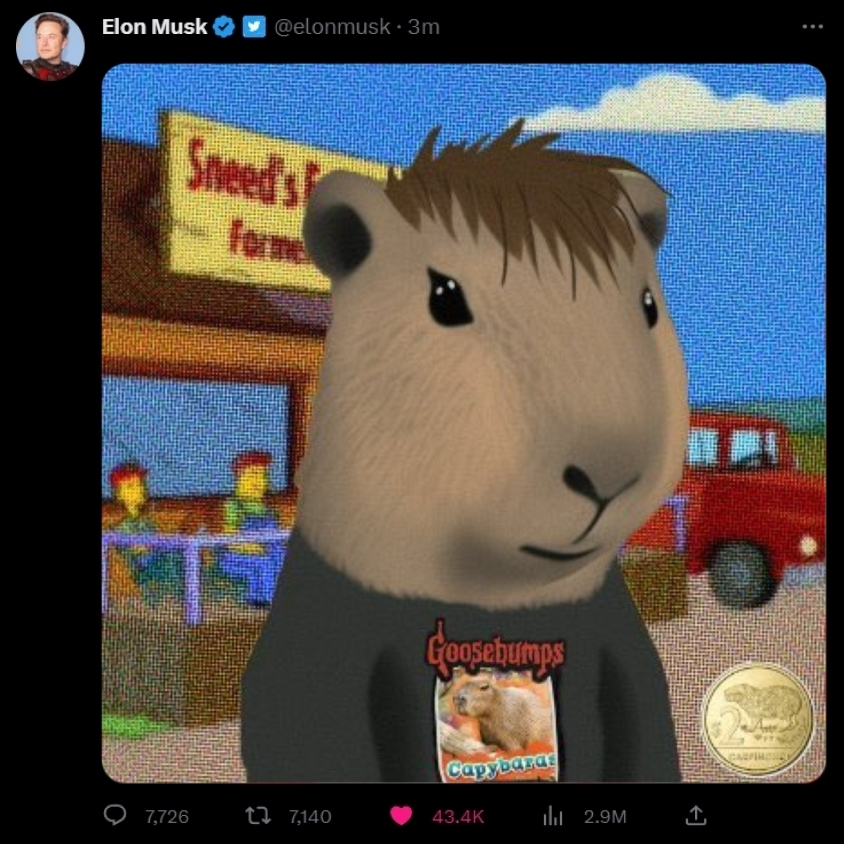 CapybaraCoinERC's tweet photo. BRUH WTF ELON MUSK SHILLED $CAPY WTF?????? https://t.co/LeSXwu5DUg