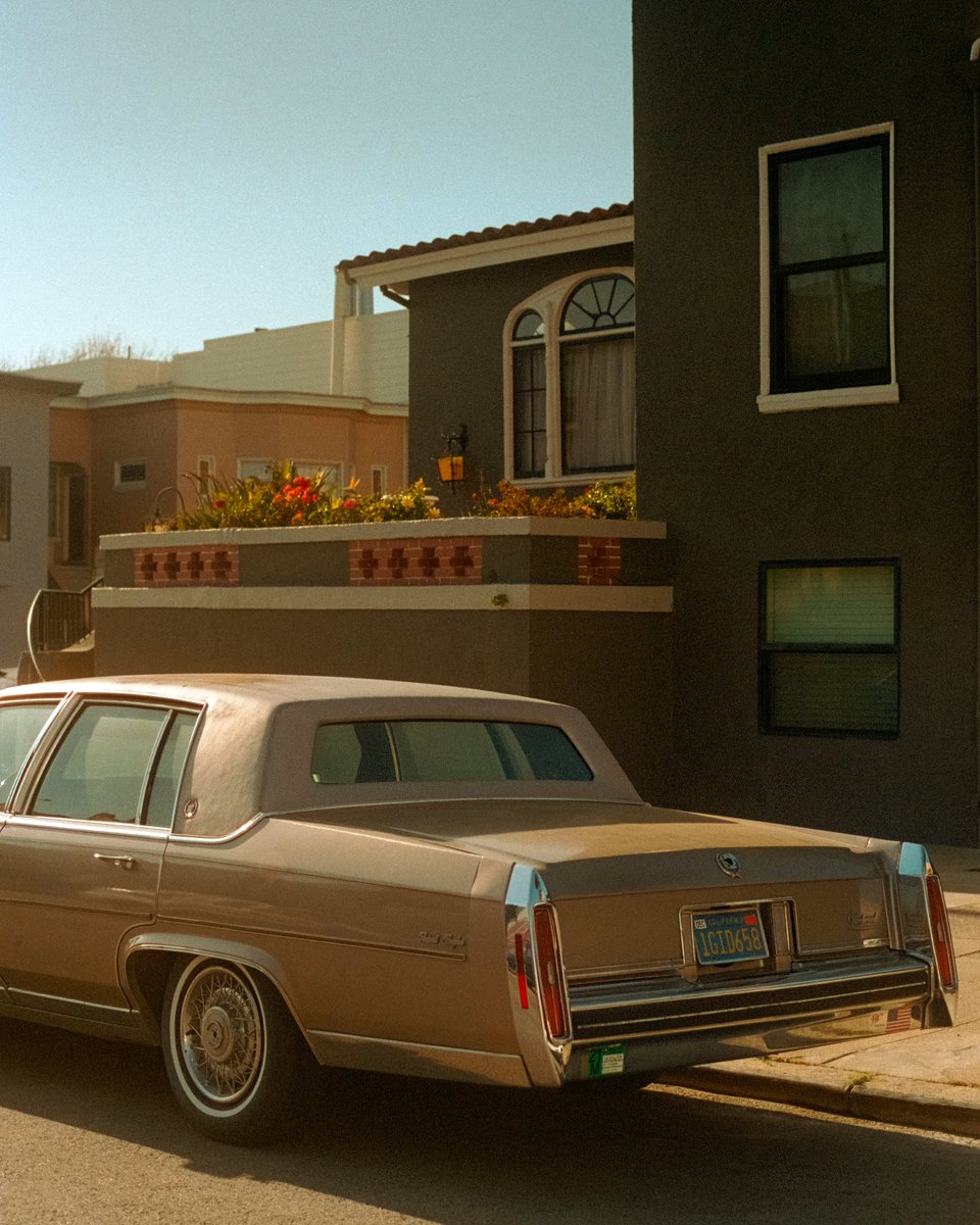 nick rufo on Twitter: 