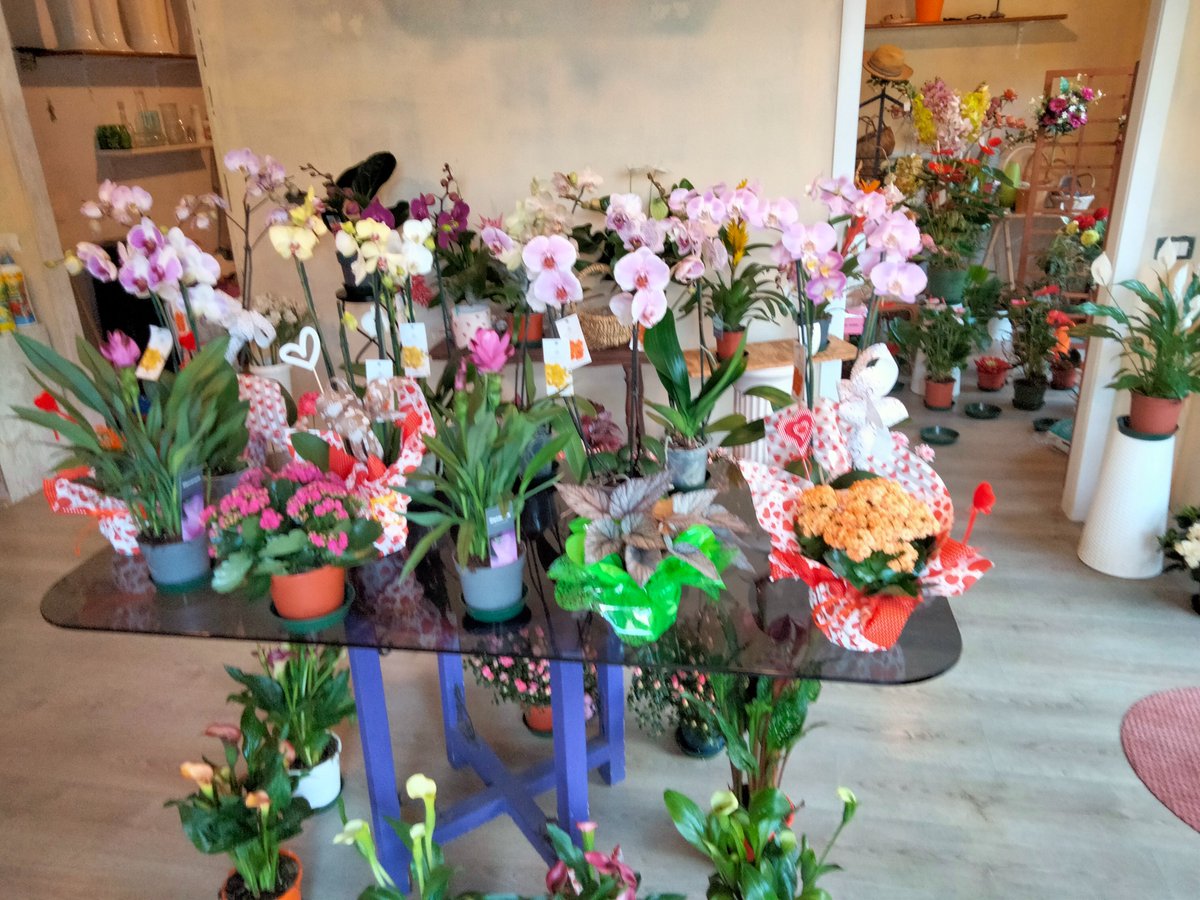 lorchideafiori's tweet photo. Tutto questo e molto altro per domenica 14 #festadellaMamma #lorchideafiori https://t.co/kcU4AbIolX
