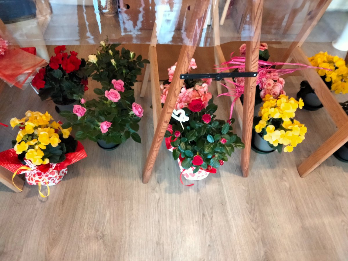 lorchideafiori's tweet photo. Tutto questo e molto altro per domenica 14 #festadellaMamma #lorchideafiori https://t.co/kcU4AbIolX
