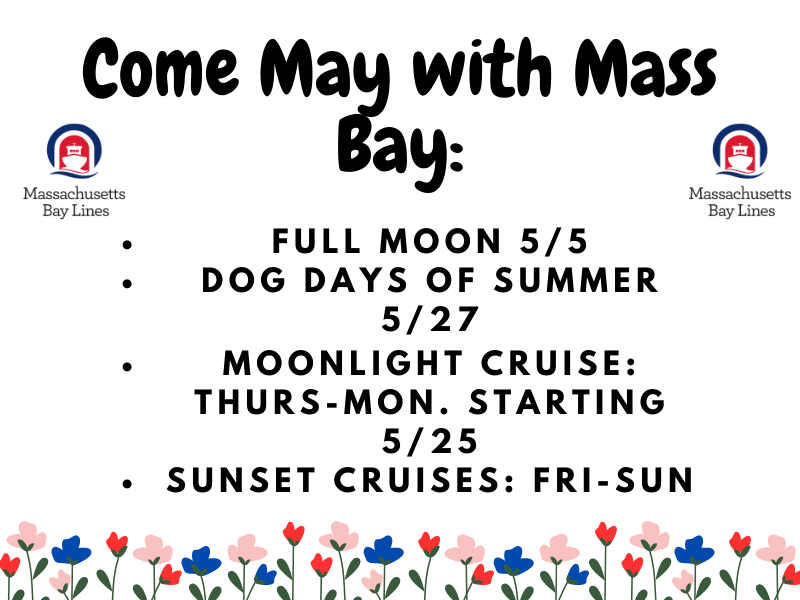 Join us in May for a Month full of fun events!
massbaylines.com