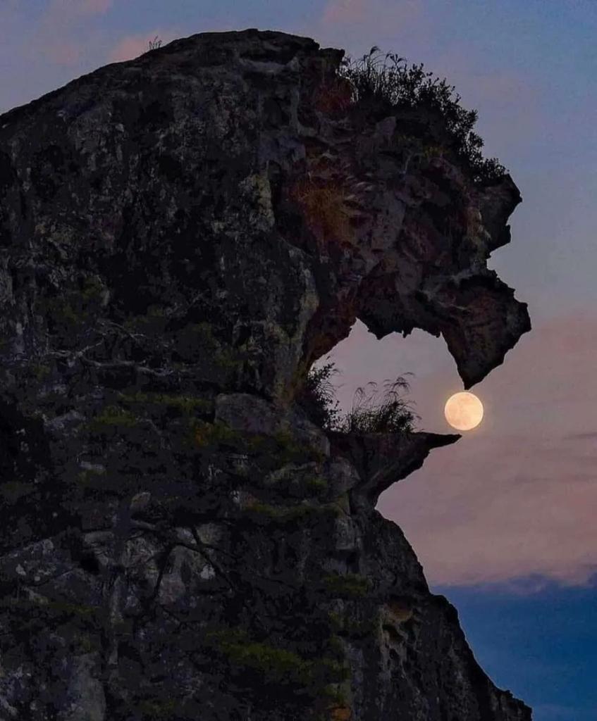 AmazingNature00's tweet photo. Perfectly timed Moon from Mie Prefecture, Japan 🌙 https://t.co/d9HFxOJjRI
