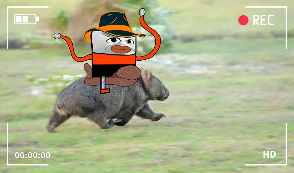 Jetstream_Mkts's tweet photo. We've mastered one of Australia's cherished pastimes: Wombat Riding.

A new $jUSDC pool has opened up on @WombatExchange !

Earn extra yield on your $jUSDC by providing liquidity 🌊 https://t.co/MLMgG912nO