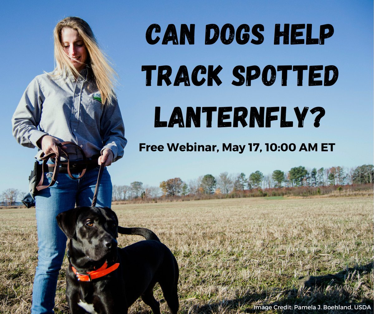 Join us for this free webinar, part of the Spotted Lanternfly Quarterly Update series hosted by <a href="/MassDeptAgr/">Massachusetts Department of Agricultural Resources</a>. Free pesticide license and continuing education credits available! Register today: bit.ly/SLFWebMAMay23