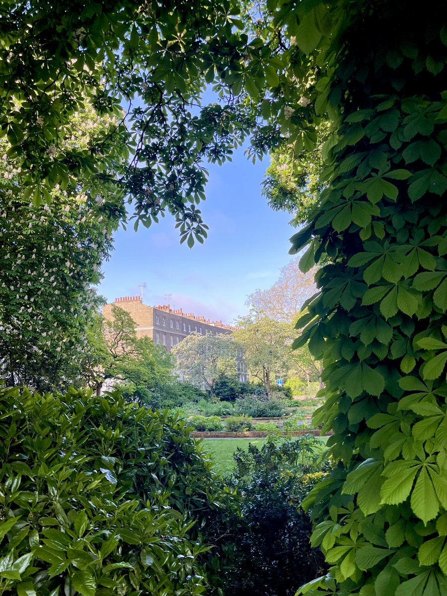 𝕽𝖎𝖓𝖆 𝕲𝖎𝖑𝖑 @rinathepublicist.bsky.social tweet media