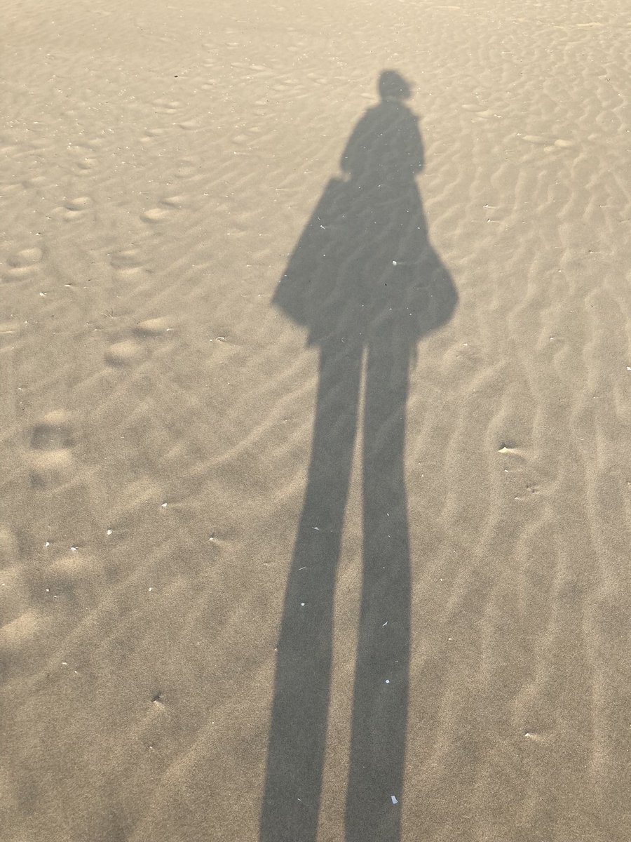 Beloved_JIMIN13's tweet photo. 最寄駅の階段を上がり外へ出ると潮の香り

多大浦(タデポ)ビーチ
ジミンVlogの海岸

砂浜の綺麗なこと
粒が細かくてサラサラ

ズボンをたくし上げ浜辺で遊ぶ子供たち
日差したっぷり海温は温かそう

貝を拾いながらぶらぶら散策

#釜山旅行
#BTS聖地
#多大浦
#DADAEPO https://t.co/vK8HckgyiI
