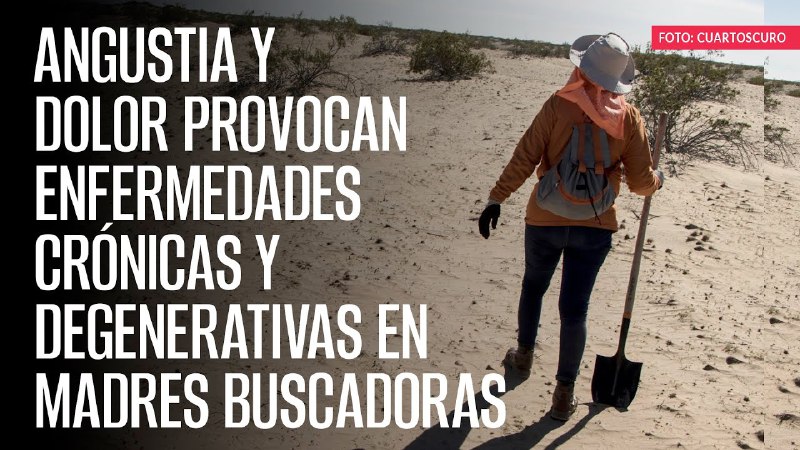 SinEmbargoMX's tweet photo. @DanyBarraganG @LaChicaDeNeza 🔴#EnVivo | #CaféyNoticias 

Angustia y dolor provocan enfermedades crónicas y degenerativas en madres buscadoras https://t.co/tmNWjXpkgf

• Nota completa: https://t.co/TOAbqnZLFb https://t.co/8AZ3g57uP4